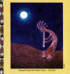 Kokopelli Sings The Winter Moon - Kim Park